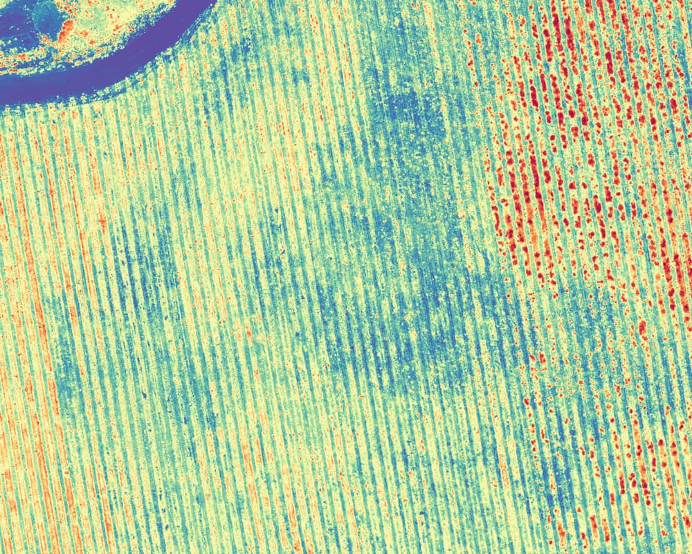 Multispectral Imaging